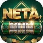NETA VIP GAME